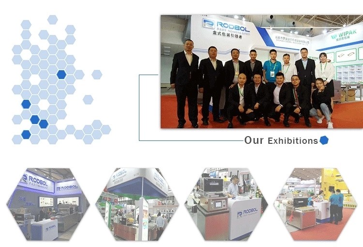 Fresh Food MAP Packaging Machine Automatic Vacuum Packing Machine Chain Drive