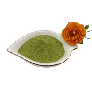 Quality Natural Growth Seaweed Extract Fertilizer 40% Seaweed Polysaccharides Green Powder wholesale