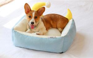 Quality Eco - Friendly Comfort Pet Beds , Cute Pet Beds Fashionable 3 Colors Available wholesale