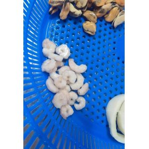 IQF Frozen Seafood Mix 500gr/bag With ISO Authentication