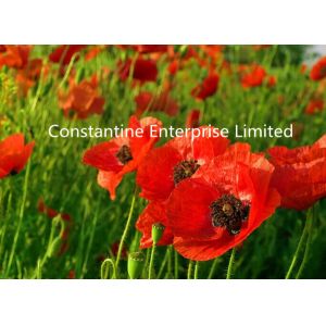 Quality 240GSM Double-sided Glossy inkjet photo paper wholesale