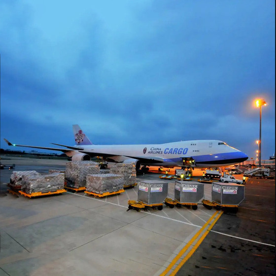 Ningbo Freight Forwarder Air Shipping Services / Global Air Shipping DHL UPS FEDEX