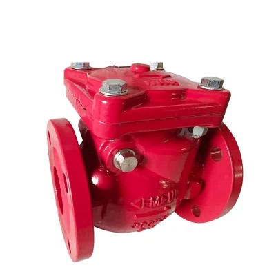 Food Grade Dn 600 Cast Iron Swing Check Valve for Low Temperature Media Handling
