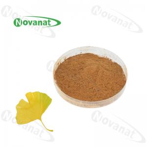Quality 100% Nature Gingko Biloba Leaf Extract Powder/USP/E.P/CP15/Dietary Supplements Ingredients wholesale