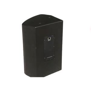 China DP PoE Powered Dante Speakers High Performance 60W With DSP Power Supply on sale