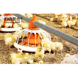 Steel Farming Prefabricated Poultry Farm Construction with Chicken Cages and