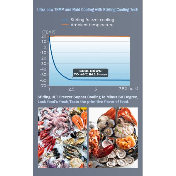 12V/24V -60 Degree Deep Cold Storage and Transfer Portable Freezer for Mini Cars