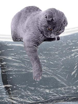 Couch Cover For Pets, Heavy Duty Cat Scratch Sofa Cover For Protection Against Cat Dog Clawing, Waterproof