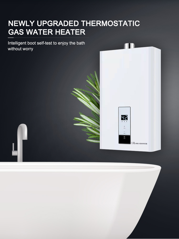 Instant LP Gas Hot Water Heater For Bathroom 220V