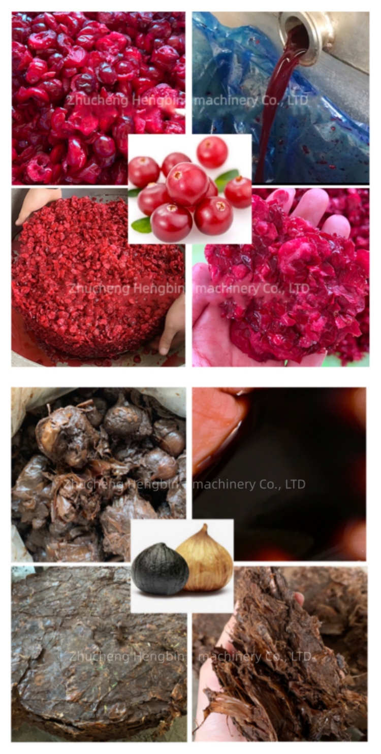 Customized Voltage 300L Cold Pressed Juicer for Commercial Fruit and Vegetable Juice