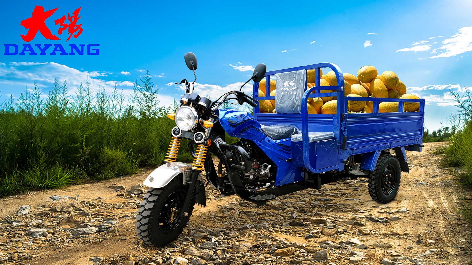 Paraguay Buyers' Must-Have Front Disc Rear Drum Brake System Motorized Tricycles