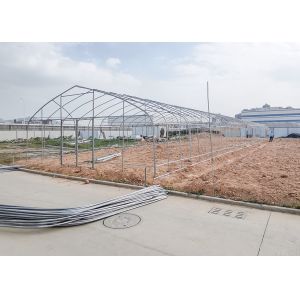 Quality Poly Plastic Polytunnel Greenhouse Good Light Transmittance For Seedling wholesale