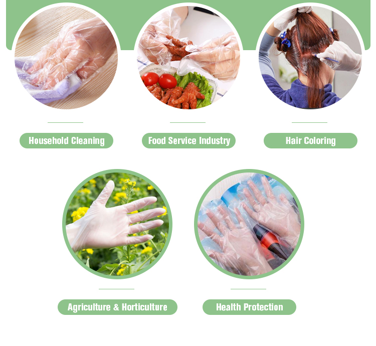 Transparent Disposable Food Safe Gloves Customized Thickness And Exclusive Customization