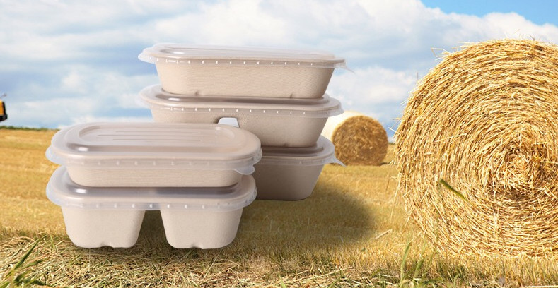 100% Biodegradable Compostable Pulp Packaging Box For Salad