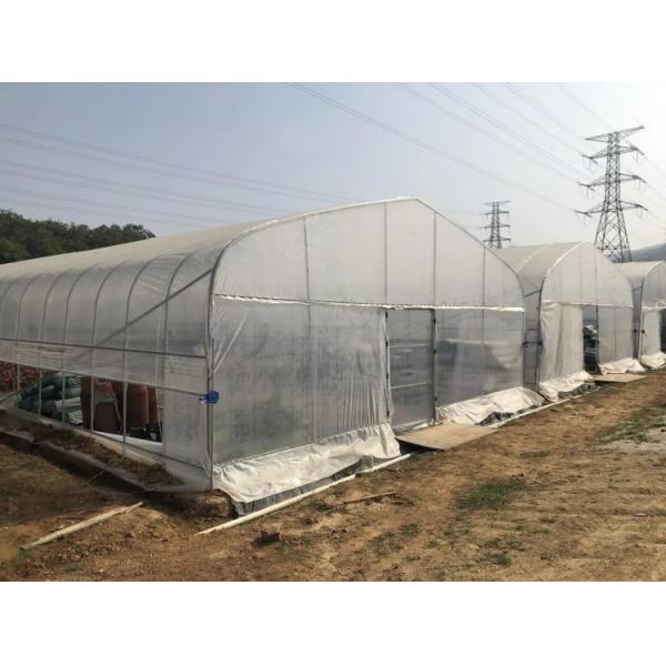 Easy Assembled Waterproof PE Film Prefabricated Single Span Tunnel Greenhouse for Strawberry Tomato Flower