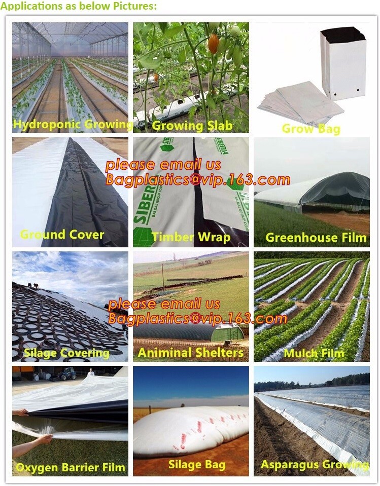 Perforated Black Agricultural Mulch Film for Weed Control Membrane,Pre-stretch Perforated UV Resistant Agriculture Film