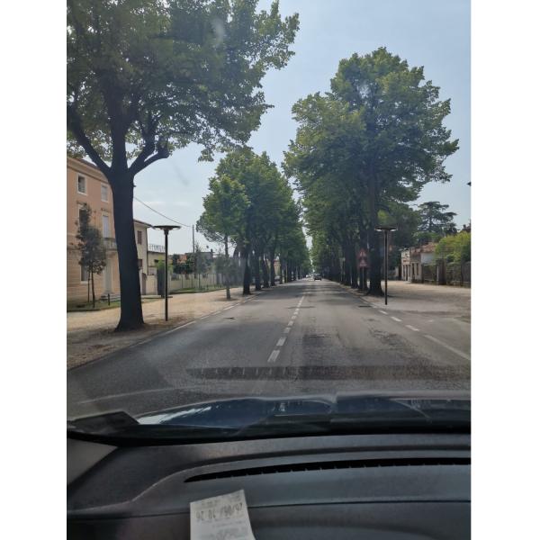 Outdoor solar led garden lights 20W with high lumen for 3 years warranty.