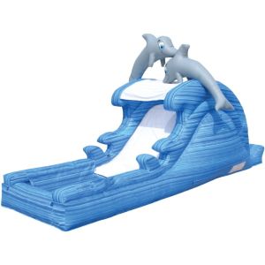 Quality Inflatble Slide / inflatable pool slide / inflatable dolphin water slide wholesale