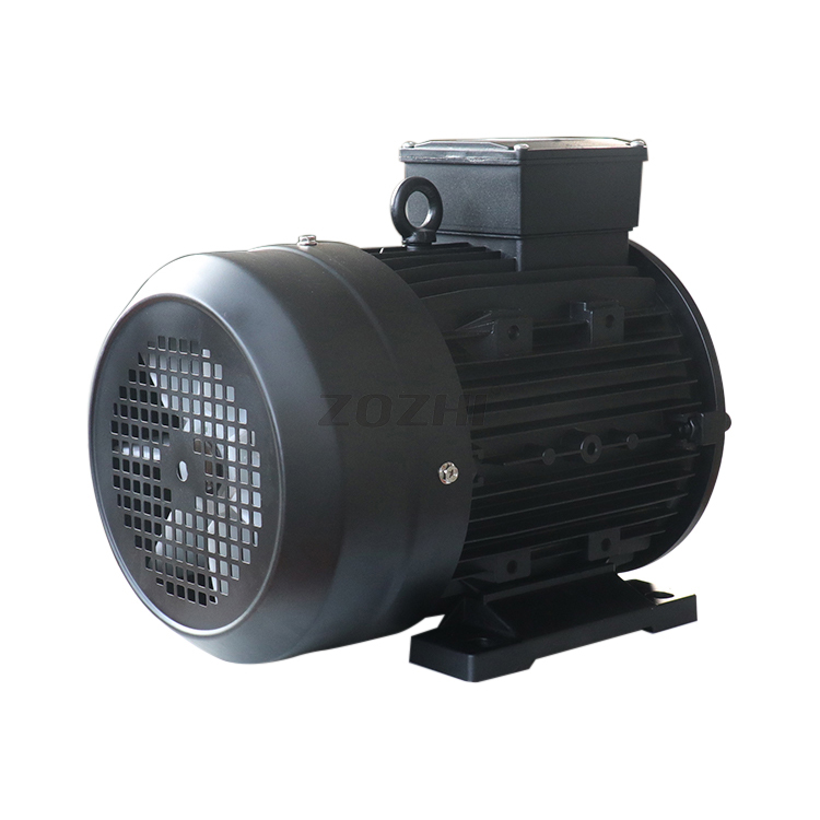 hollow shaft electric motor
