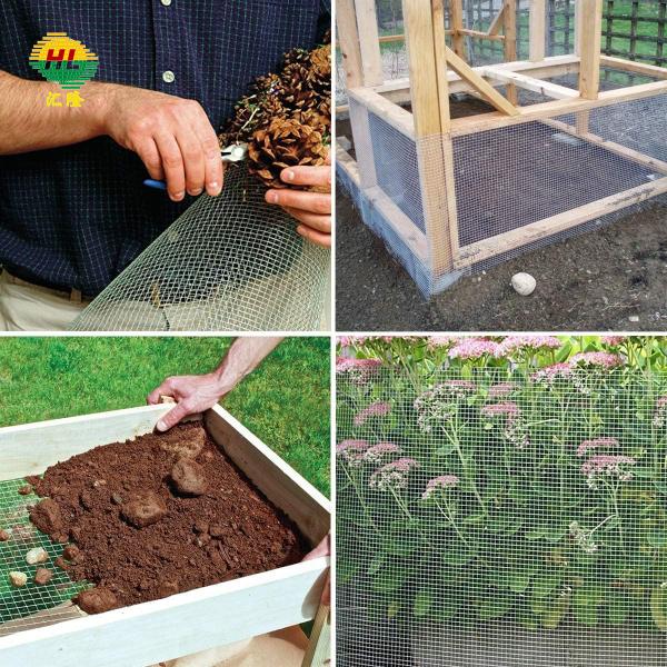 Hot Dipped Galvanized Welded Wire Mesh Rolls 1 Inch Height 1.5m/5ft