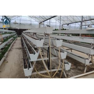 Quality Modern Agricultural Strawberry Growing Troughs Greenhouse PVC Hydroponic Grow Equipment wholesale