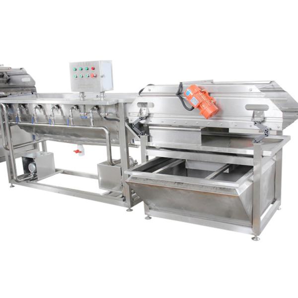 Industrial Fruit Vegetable Processing Machine making line