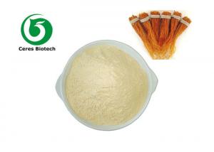 China Low price products 5%-80% ginseng root extract ginseng powder for ginseng on sale