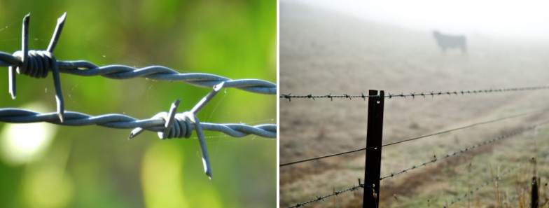 20kg/Roll Compound Wall Barbed Wire Rust Resistance ISO9001 Certified