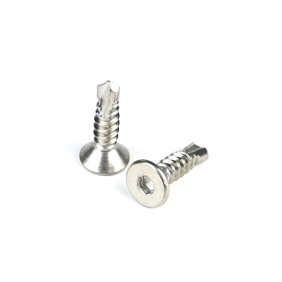 Visible Torx Drive Self Drilling Screw for Fiber Cement Board and Door 100% QC Tested