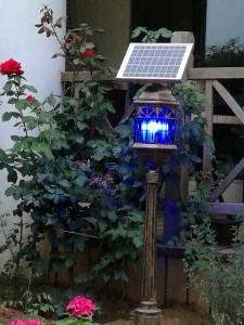 China All in One Solar Powered Mosquito Controller on sale