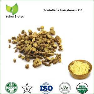 Quality scutellaria baicalensis georgi extract,Baical Skullcap root extract wholesale