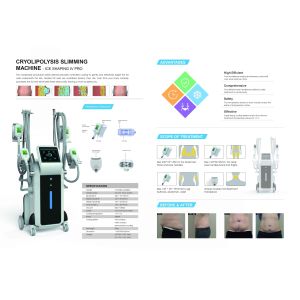 2018 New technology bearty equipment 3 cryo handles lipo cryotherapy