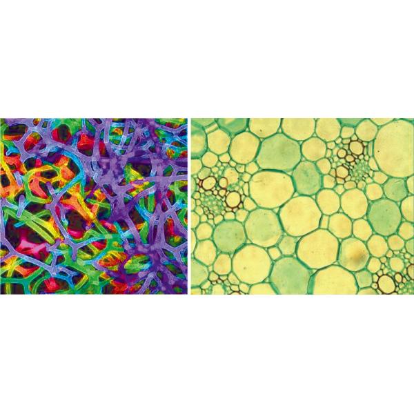 610 Silicone Oil Polyurethane Foaming Additive For Producing Special Slow Rebound Flatulence Foam Sponge