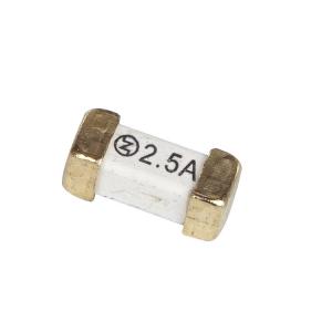 Quality 300V Ceramic Surface Mount Fuses / 2410 Fuse Time Delay Blow wholesale