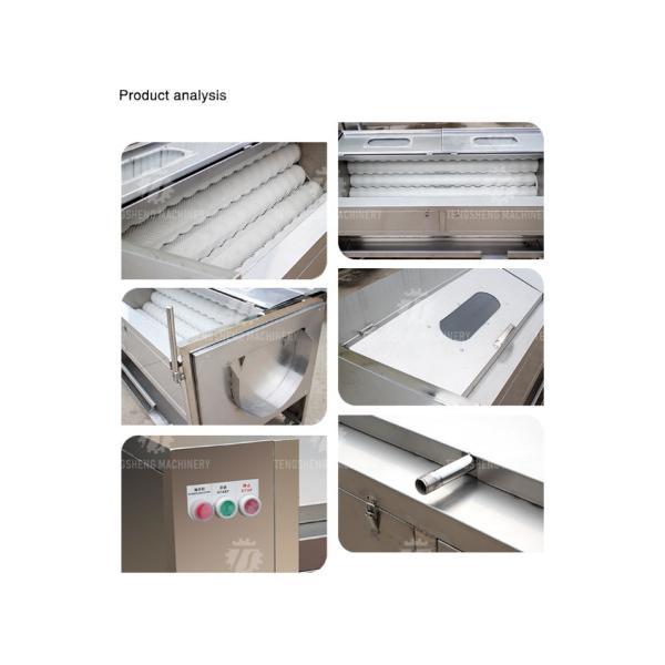 380KG Stainless steel wool roller peeling cleaning machine turnip automatic fruit and vegetable peeling