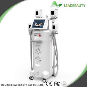 Quality Effectively cryolipolysis slimming fat losemachine wholesale