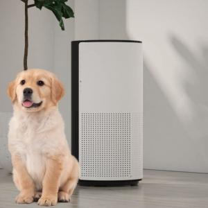 China Sleep Mode Pet Air Purifier Capture Pet Dander And Other Allergens 8 hours Timer on sale