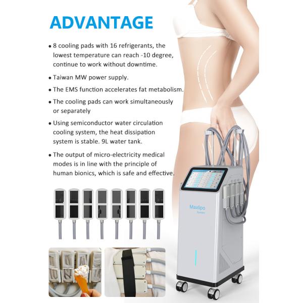 8 Plate 360 Cryolipolysis Cryo Fat Freezing Cryo Plate Weight Loss Machine