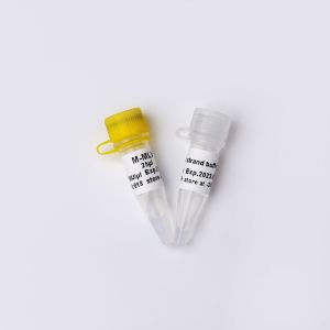 Quality M-MLV Reverse Transcriptase PCR Reagents R1042 wholesale
