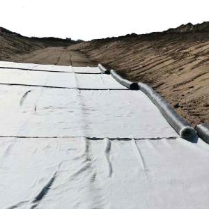 China White Geosynthetic Clay Liner for Waterproofing Municipal Water Conservancy Projects on sale