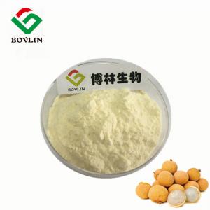 Quality Food Grade Organic Longan Fruit Powder For Additive wholesale