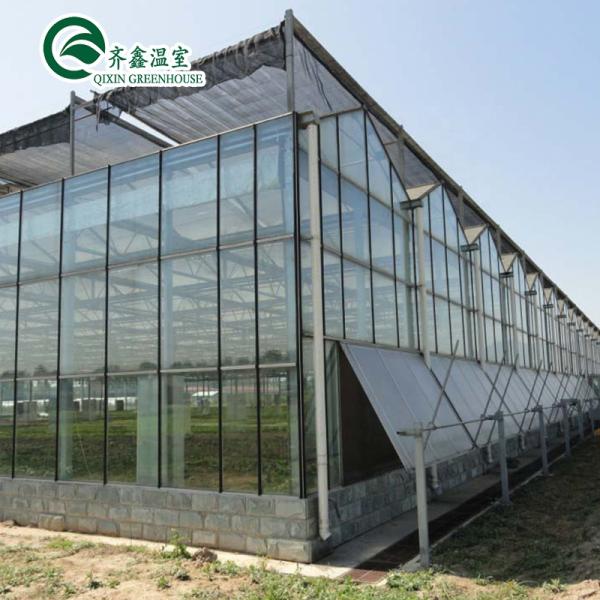 3.8m-9.8m Ridge Height Glass Solar Greenhouse for Customer Requirements
