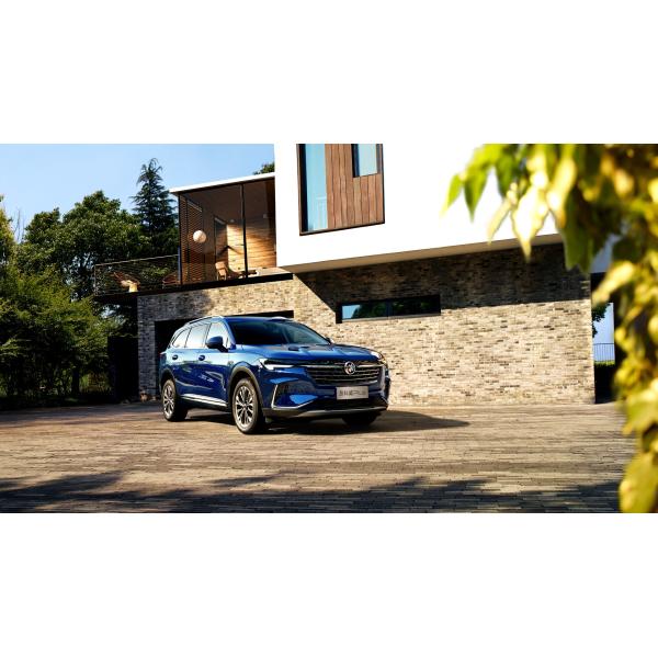 New Envision 5-Door 5-Seat 2WD 4WD SUV Gas Cars with Electric Steering System