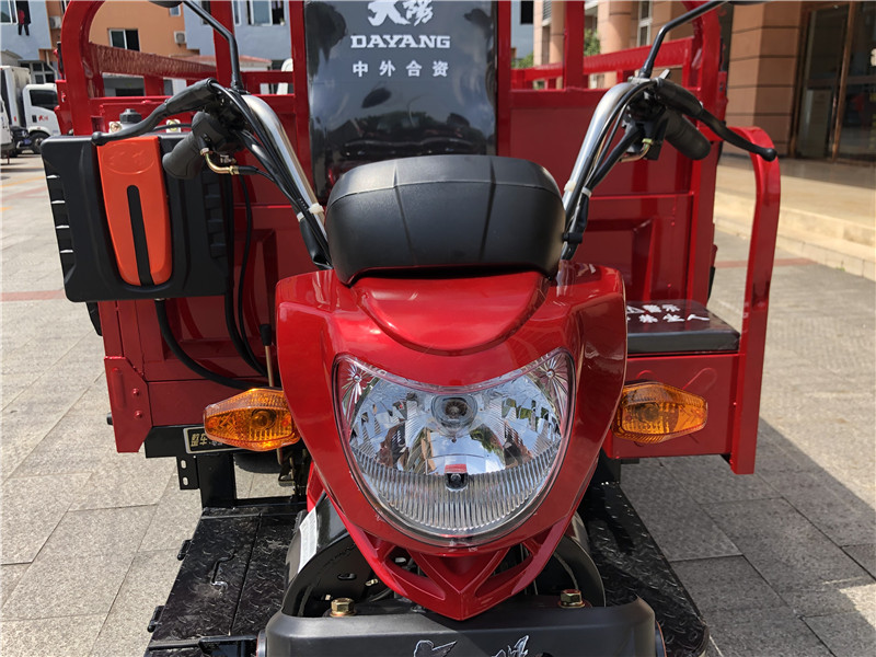 Motorized Rear Axle Floating Booster King Heavy Loading Tricycle 250CC/300CC Three Wheel Motorcycle