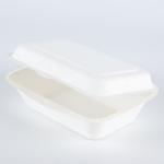 Natural fiber Small Hoagie Box container