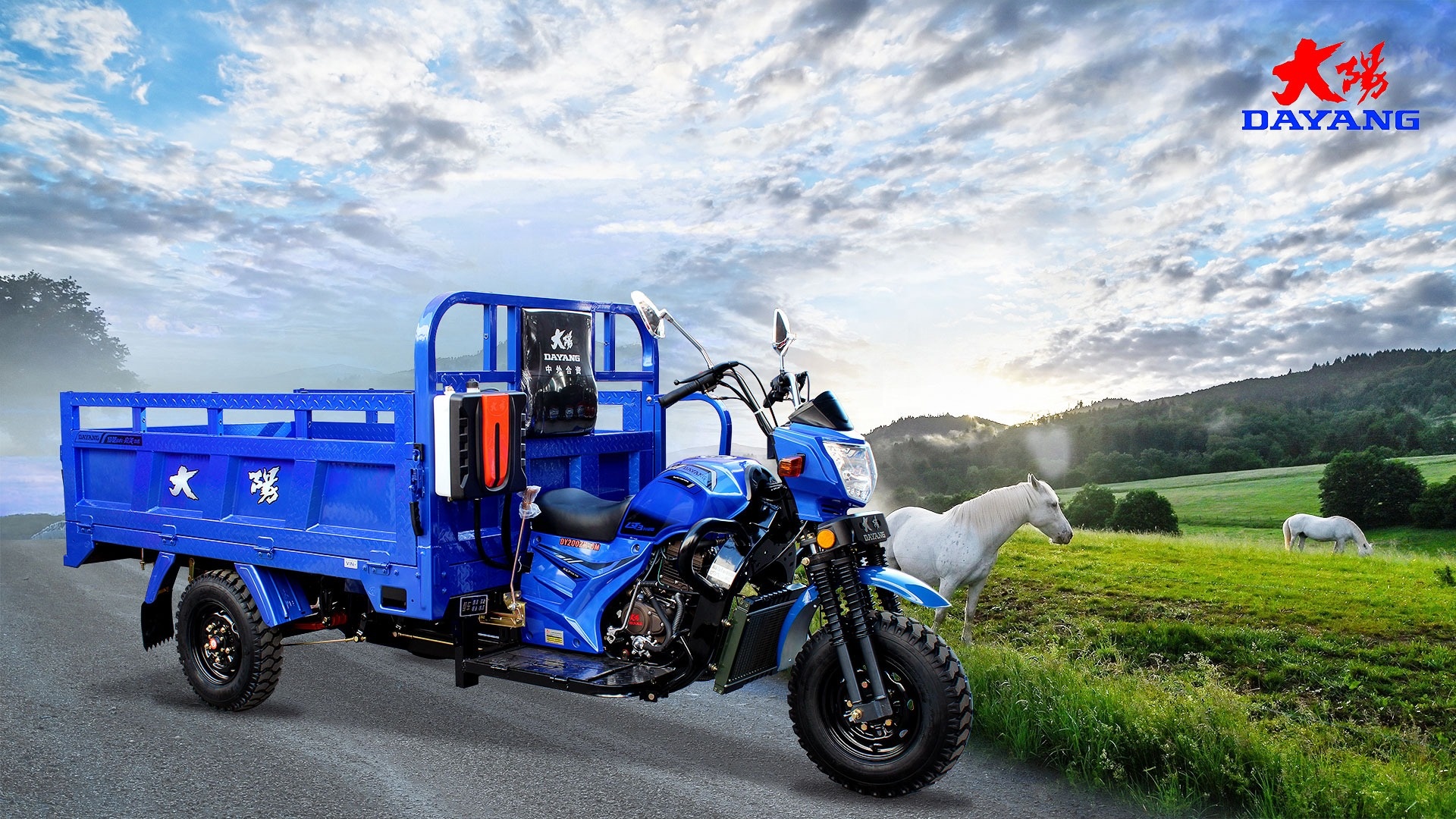 CCC Three Wheel Cargo Motorcycle with 250W Motor and 12V Voltage within CCC Design
