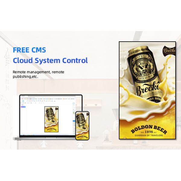 55 Inch Digital Advertising Display Board Wall Mount LCD Digital Signage