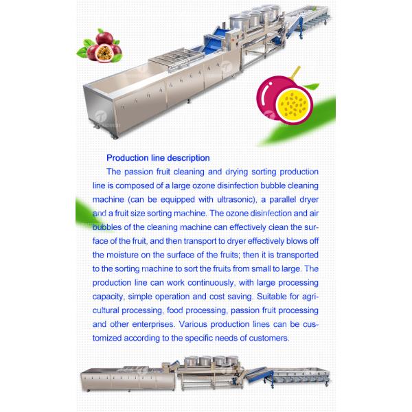Passion Fruit Bubble Cleaning And Drying Sorting Production Line