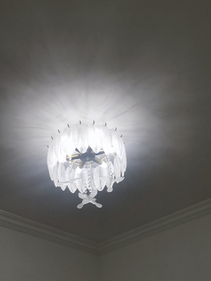 Creative Glass Feather Chandelier Modern Living Bedroom Kitchen Island Hanging（WH-CY-252）