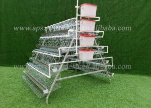 Quality 3.0mm Q235 Wire Poultry Chicken Cages Type A For Breeding Hens Farm wholesale